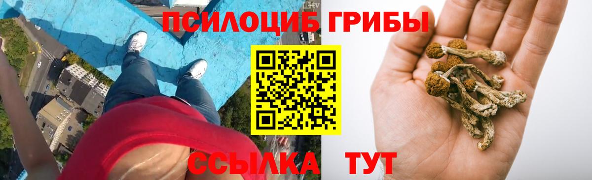 Галлюциногенные грибы ЛСД  Вход с VPN  Новозыбков  Галлюциногенные грибы Cubensis 